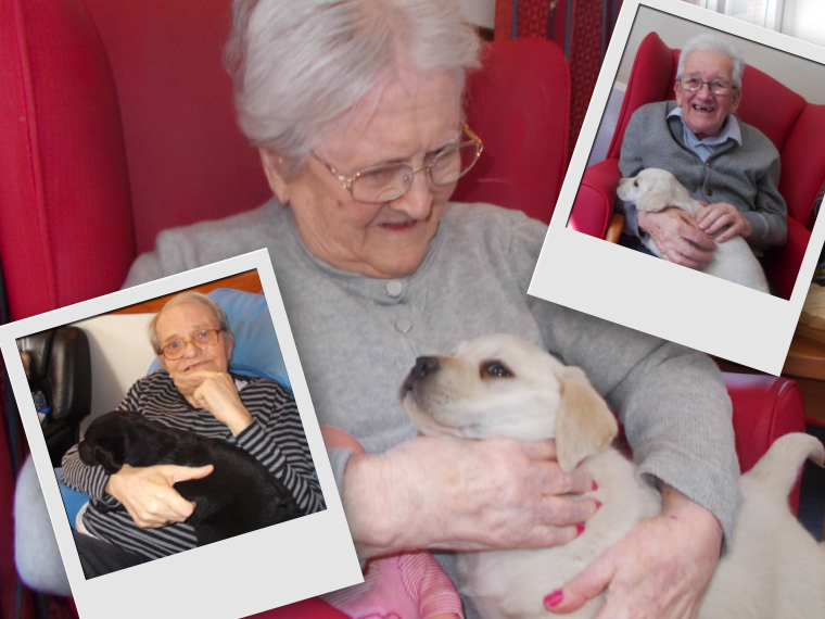 P.A.T (Pets as Therapy) at Abbotsleigh Care Home