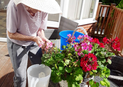 Abbotsleigh Care Home lady pots pretty plants in a basket outside in the garden