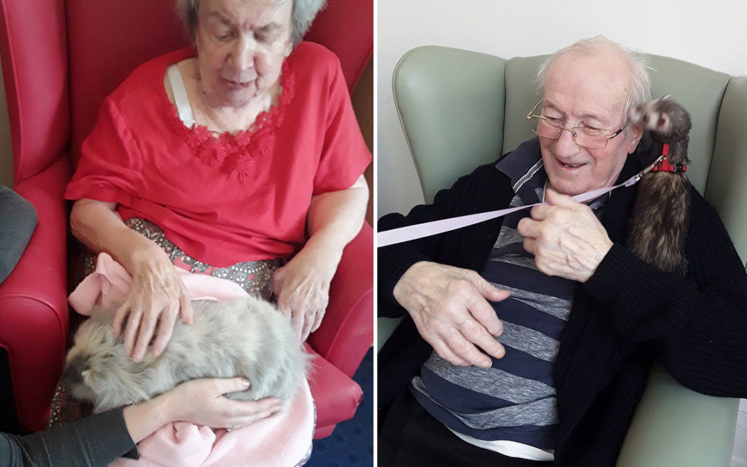 From Pet Therapy to Red Noses at Abbotsleigh Care Home