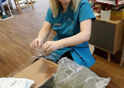 Staff member at Abbotsleigh Care Home making lavender bags
