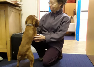Abbotsleigh Care Home lady resident petting Maggie the dog