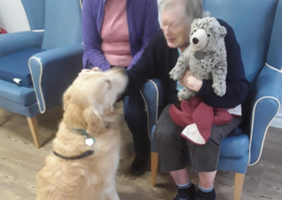 Lady resident at Abbotsleigh Care Home stroking a pet therapy dog