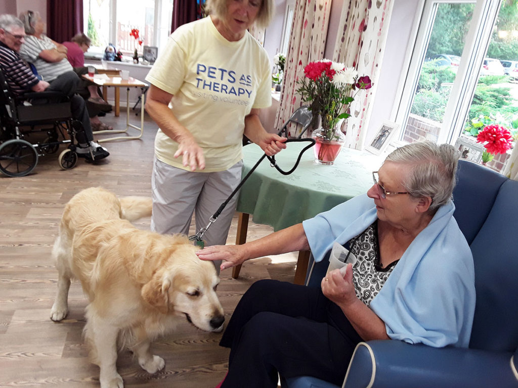 Pet Therapy dog Ruben visiting with a resident at Abbotsleigh Care Home