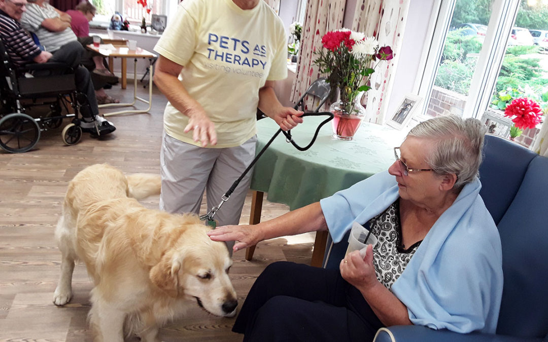 PAT dog cuddles and armchair Olympics at Abbotsleigh Care Home