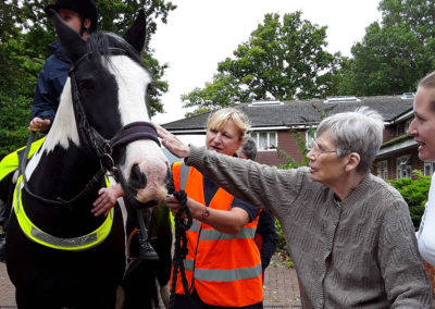 Abbostleigh resident stroking a horse