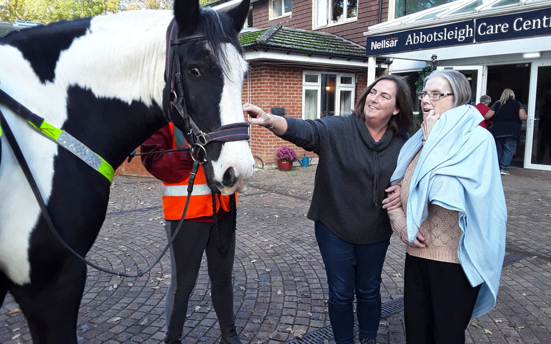 Abbotsleigh Care Home residents enjoy ball games and horse visit