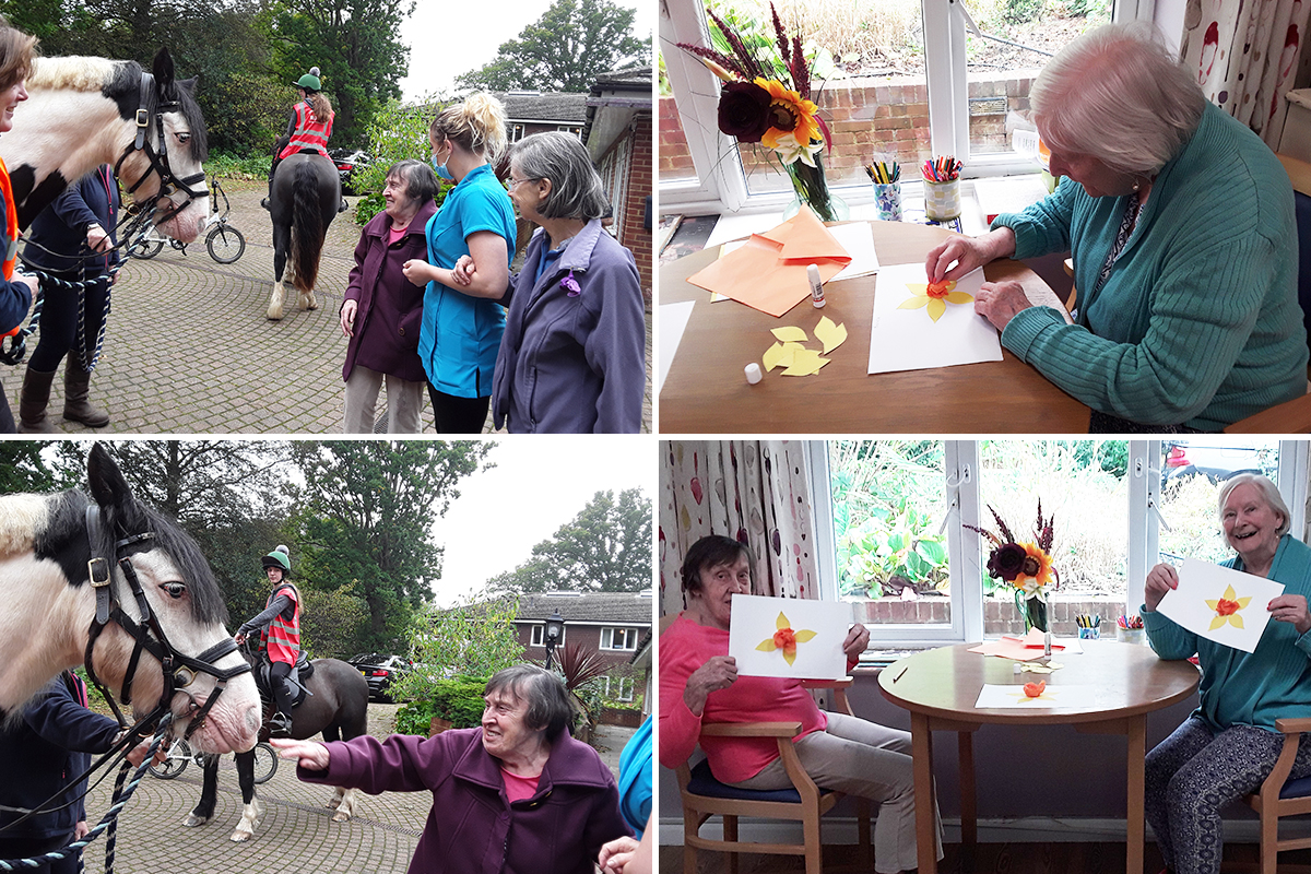 Friendly horses and seasonal art at Abbotsleigh Care Home