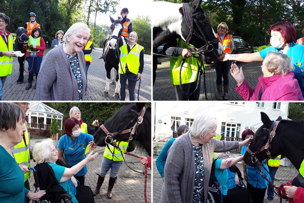 Horses and riders visiting Abbotsleigh Care Home