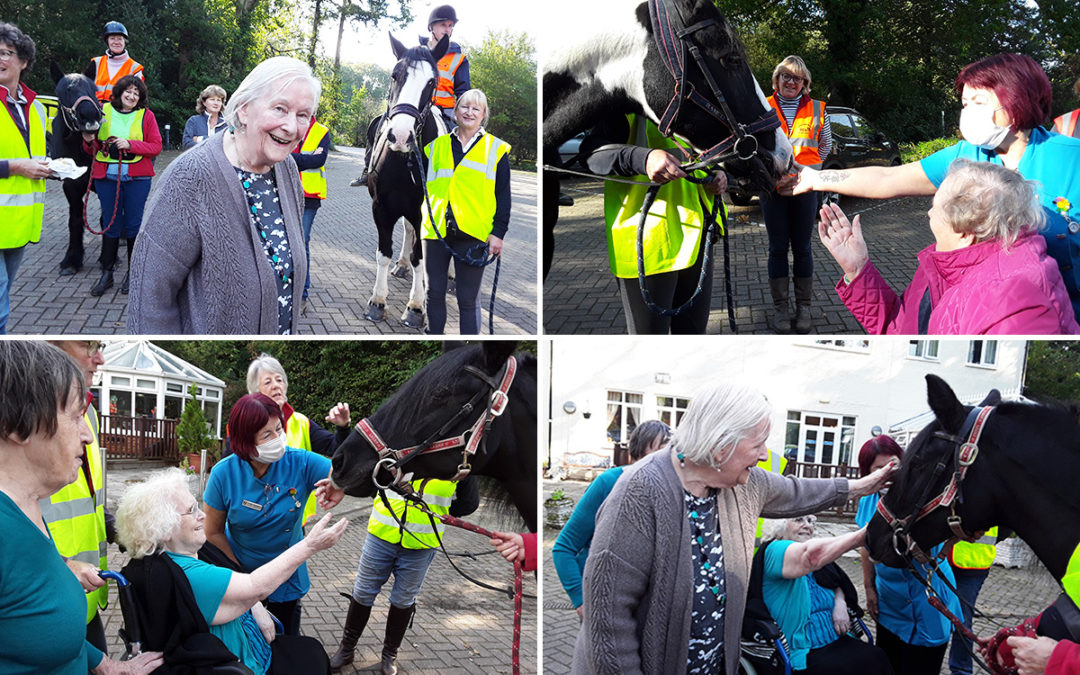 Happy horse visit at Abbotsleigh Care Home