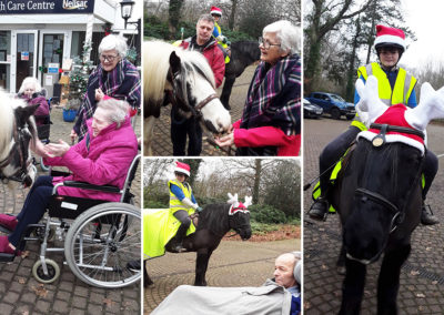Festive horse visit at Abbotsleigh Care Home