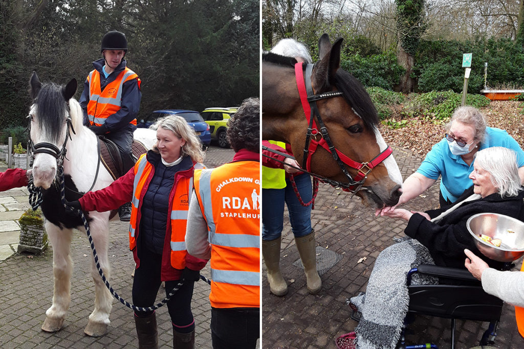 Riding for the Disabled Association horses visiting Abbotsleigh Care Home