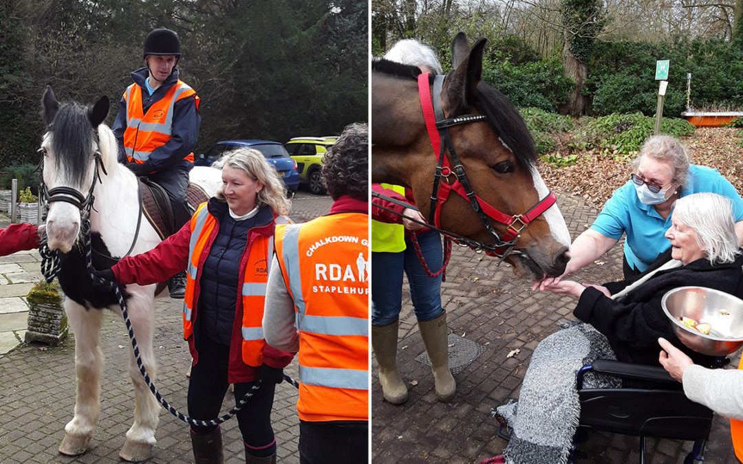 Riding for the Disabled Association horses visit Abbotsleigh Care Home