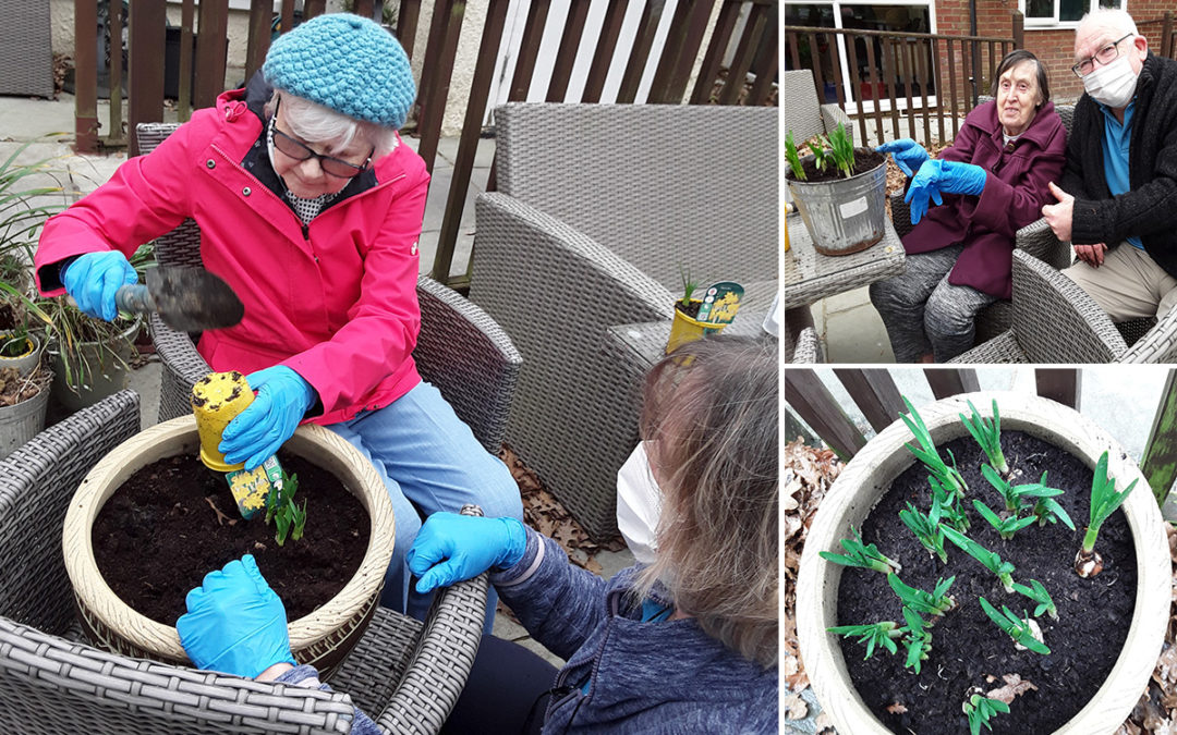 Bulb planting at Abbotsleigh Care Home