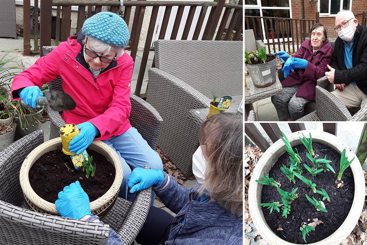 Bulb planting at Abbotsleigh Care Home