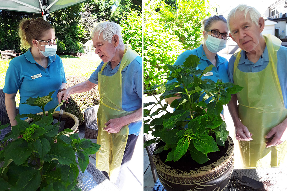 Abbotsleigh Care Home resident and staff member planting a hydrangea