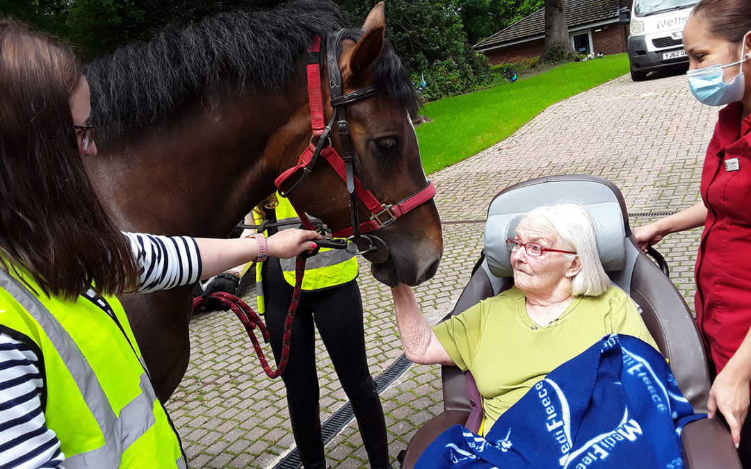 Creative activities and a visit from the RDA horses at Abbotsleigh Care Home