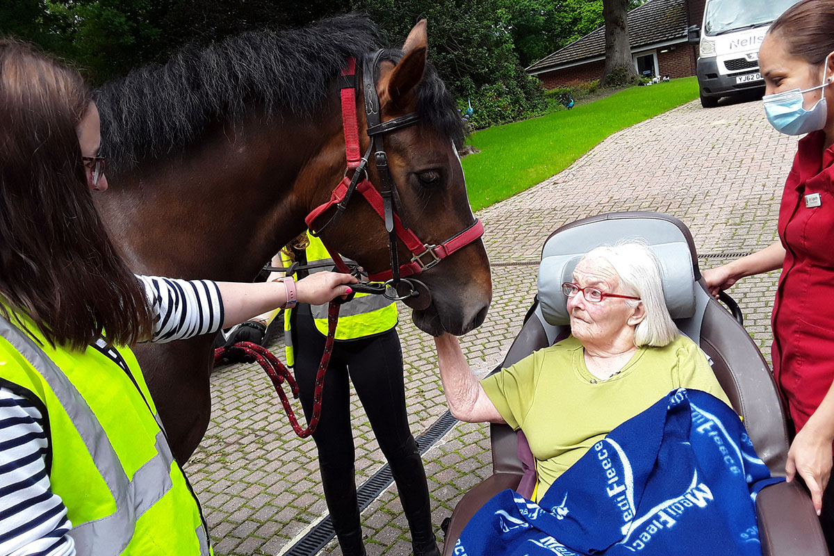 Creative activities and a visit from the RDA horses at Abbotsleigh Care Home
