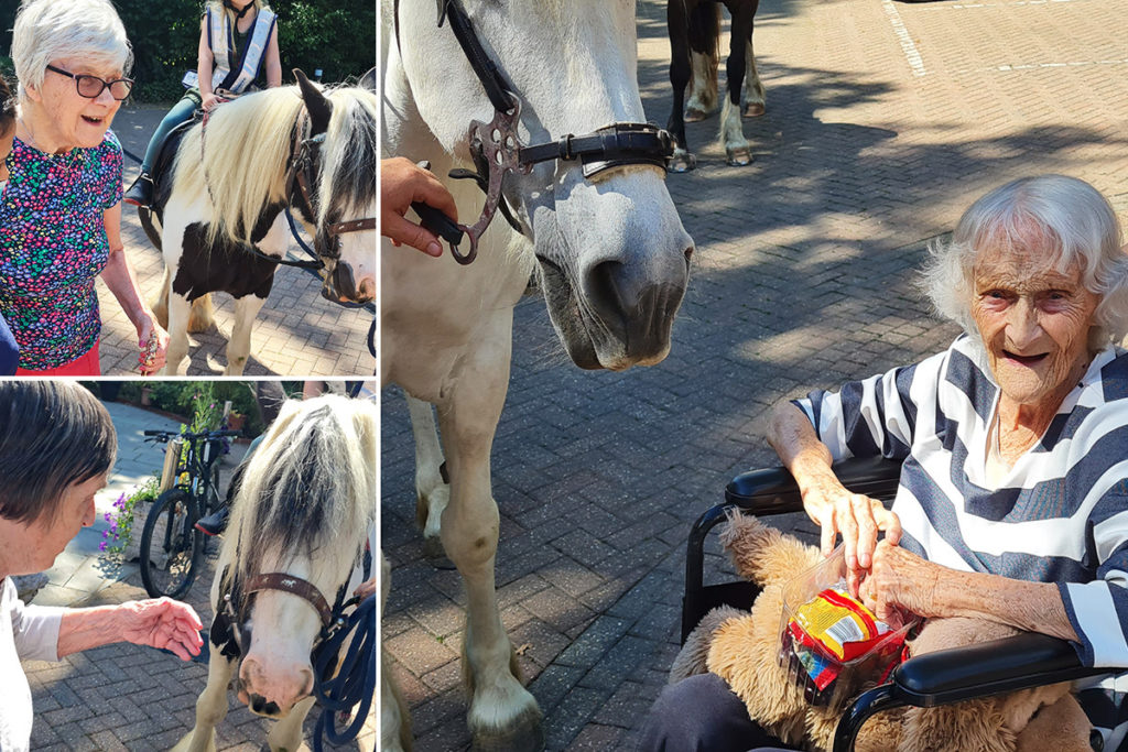 Abbotsleigh Care Home resident enjoy meeting riding school horses