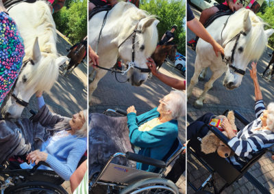 Abbotsleigh Care Home resident up close with a horse