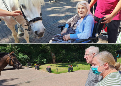 Abbotsleigh Care Home residents spending time with riding school horses
