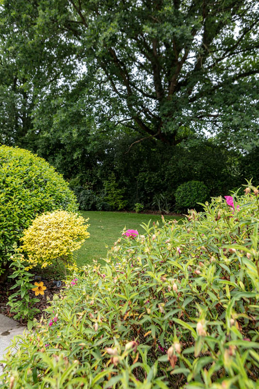The back garden at Abbotsleigh Care Home