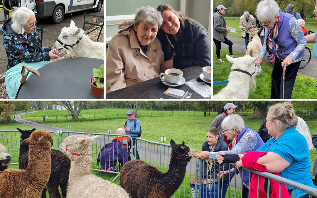 Abbotsleigh Care Home residents enjoy a trip to Kenward Place