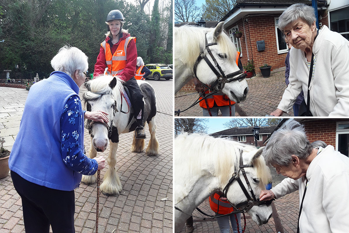 RDA horse visit at Abbotsleigh Care Home