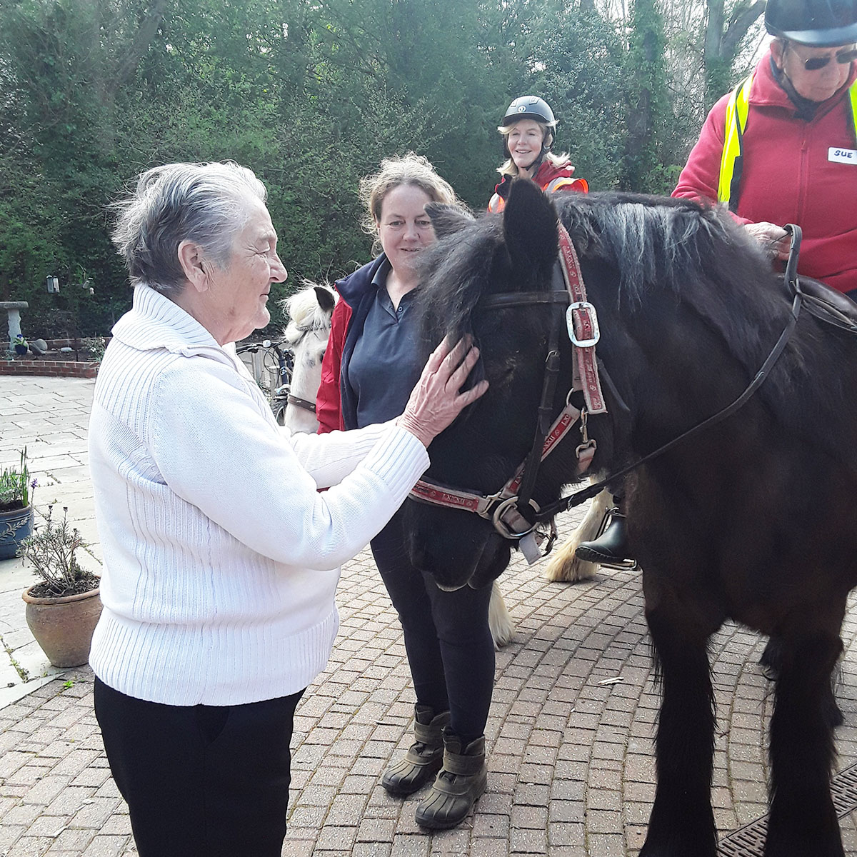 Saying hello to the RDA horses at Abbotsleigh Care Home
