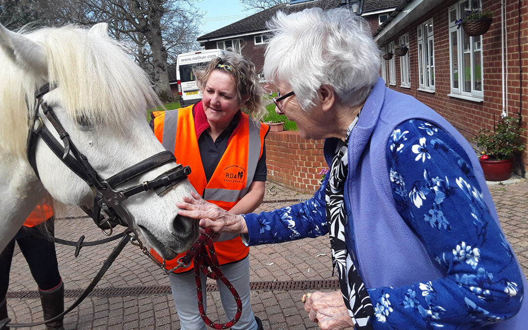 Riding for the Disabled visit Abbotsleigh Care Home
