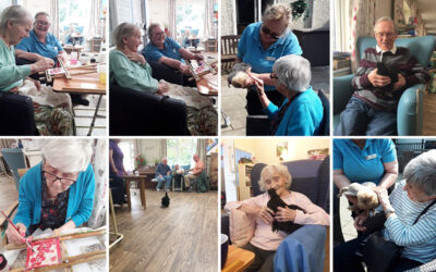Silk painting and chicken love at Abbotsleigh Care Home