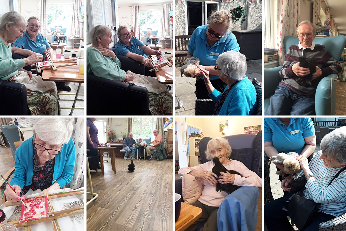 Silk painting and chicken love at Abbotsleigh Care Home