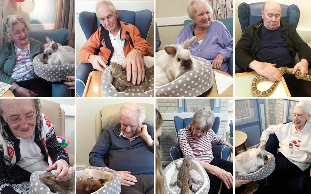 Abbotsleigh Care Home residents are visited by Animalia